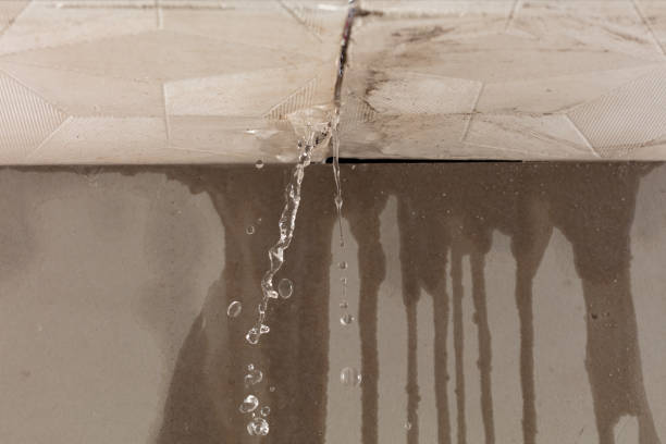 Professional Structural Drying technician working in Fredericksburg, OH